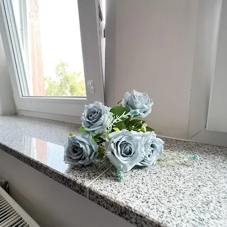 717 Zentrum Ost Apartment