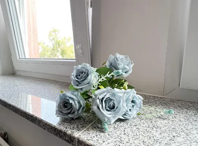 717 Zentrum Ost Апартаменты